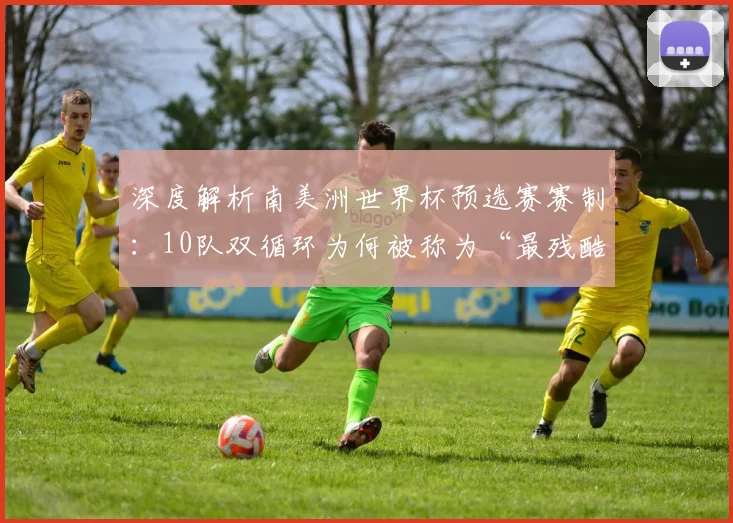 深度解析南美洲世界杯预选赛赛制：10队双循环为何被称为“最残酷”？